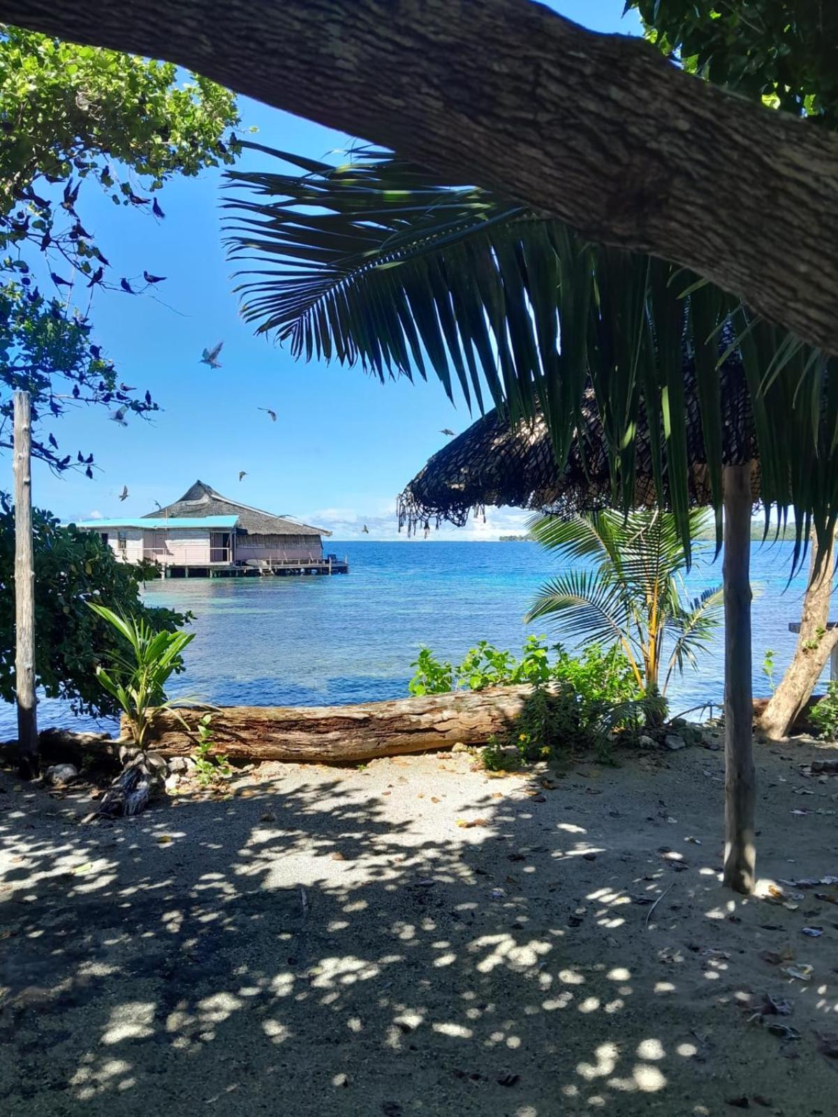 Imagination Island Eco Resort Gizo Buitenkant foto